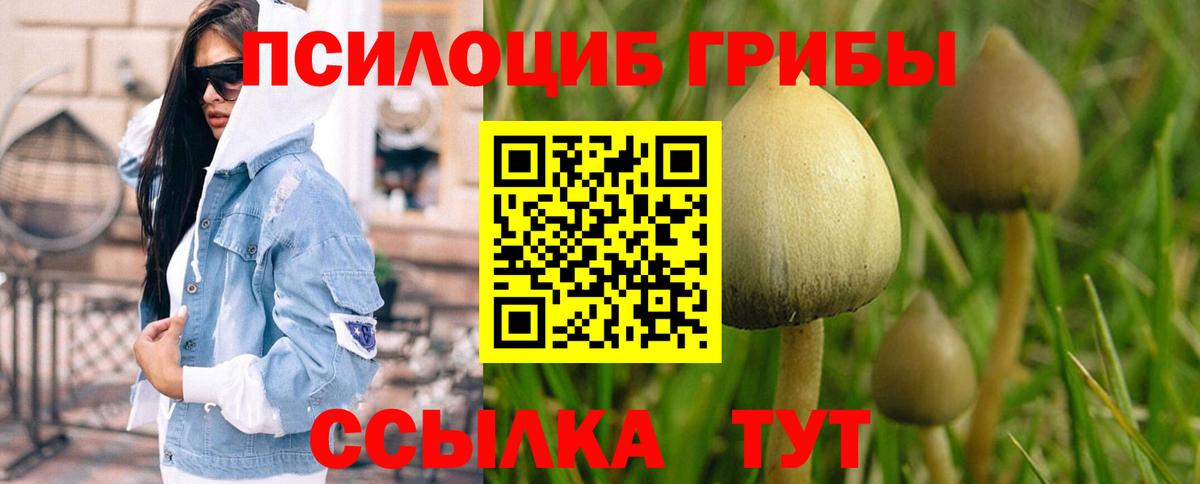 Псилоцибиновые грибы Psilocybe  Вход с VPN  Валуйки 
